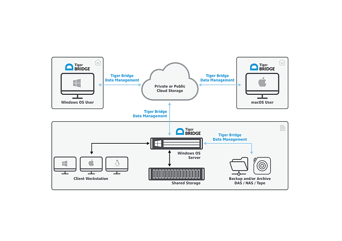 Tiger Bridge Data Management Tax Tiger Bridge Data Management Tax