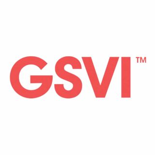 GSVI GSVI