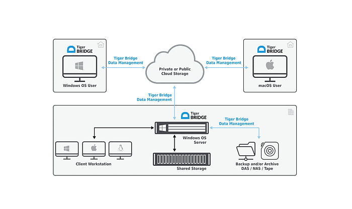 Tiger Bridge Data Management Tax Tiger Bridge Data Management Tax